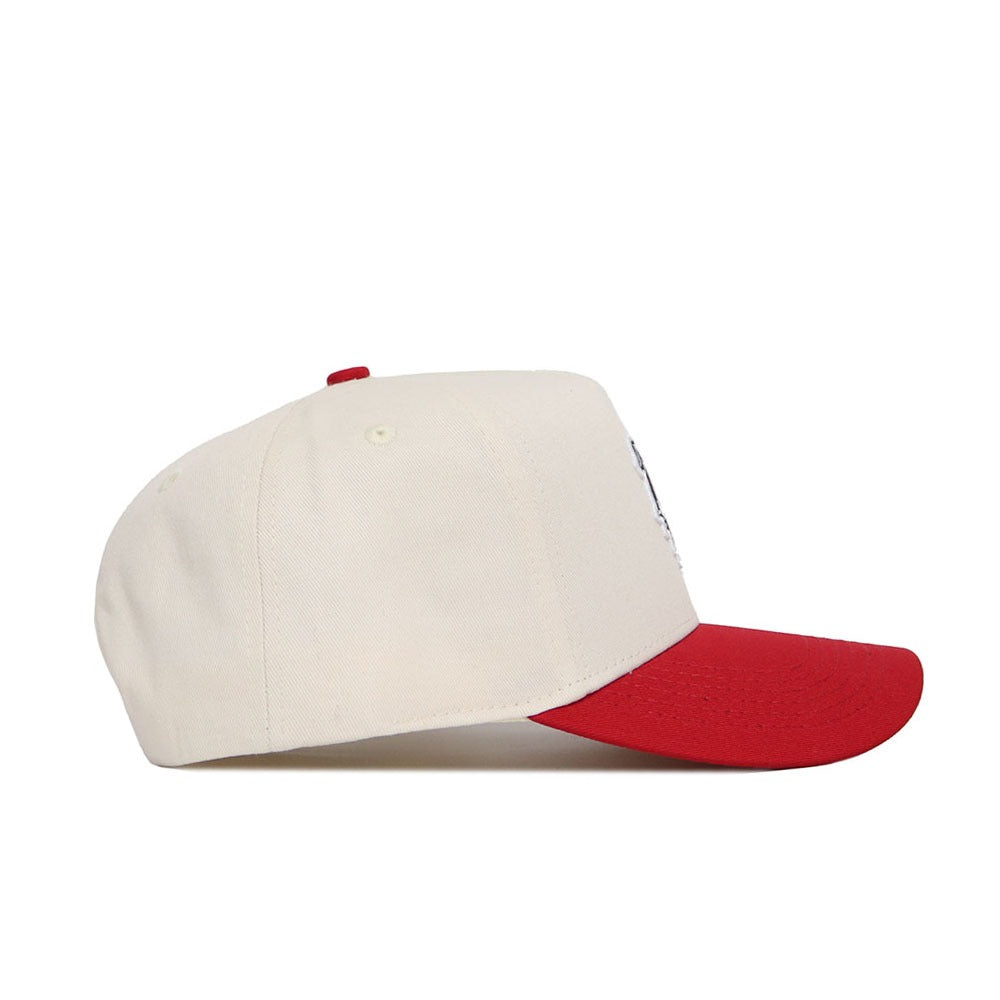 Georgia Bulldogs Logo Hat - No Rivals