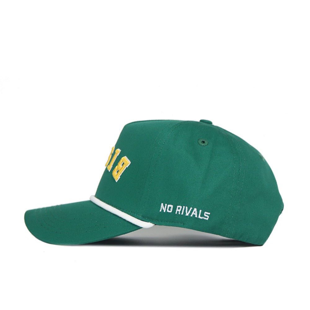 Upside Down BISON Hat - NDSU - Color Rush - No Rivals