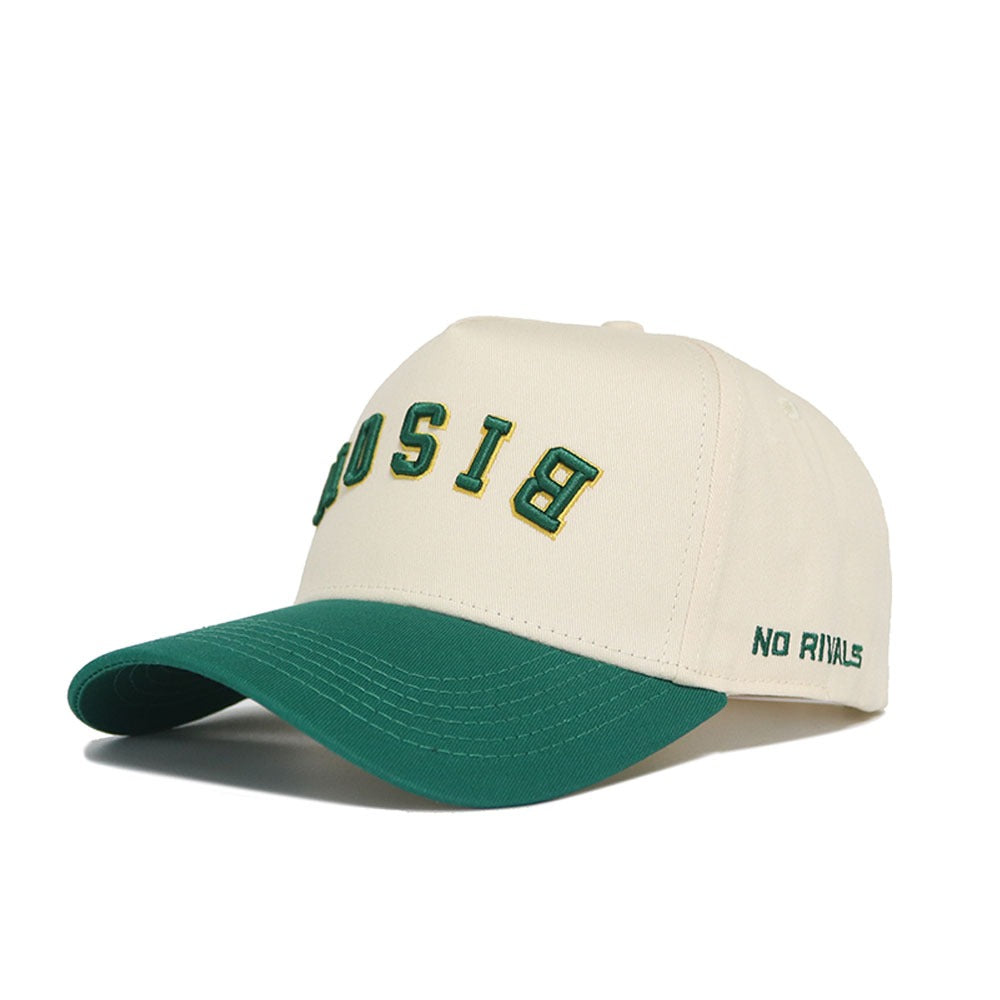 Upside Down BISON Hat - NDSU - Classic Colors - No Rivals