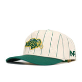 NDSU Pinstripe Hat - No Rivals