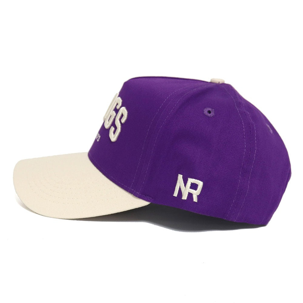 TCU FROGS Established Hat - No Rivals