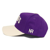 TCU FROGS Established Hat - No Rivals