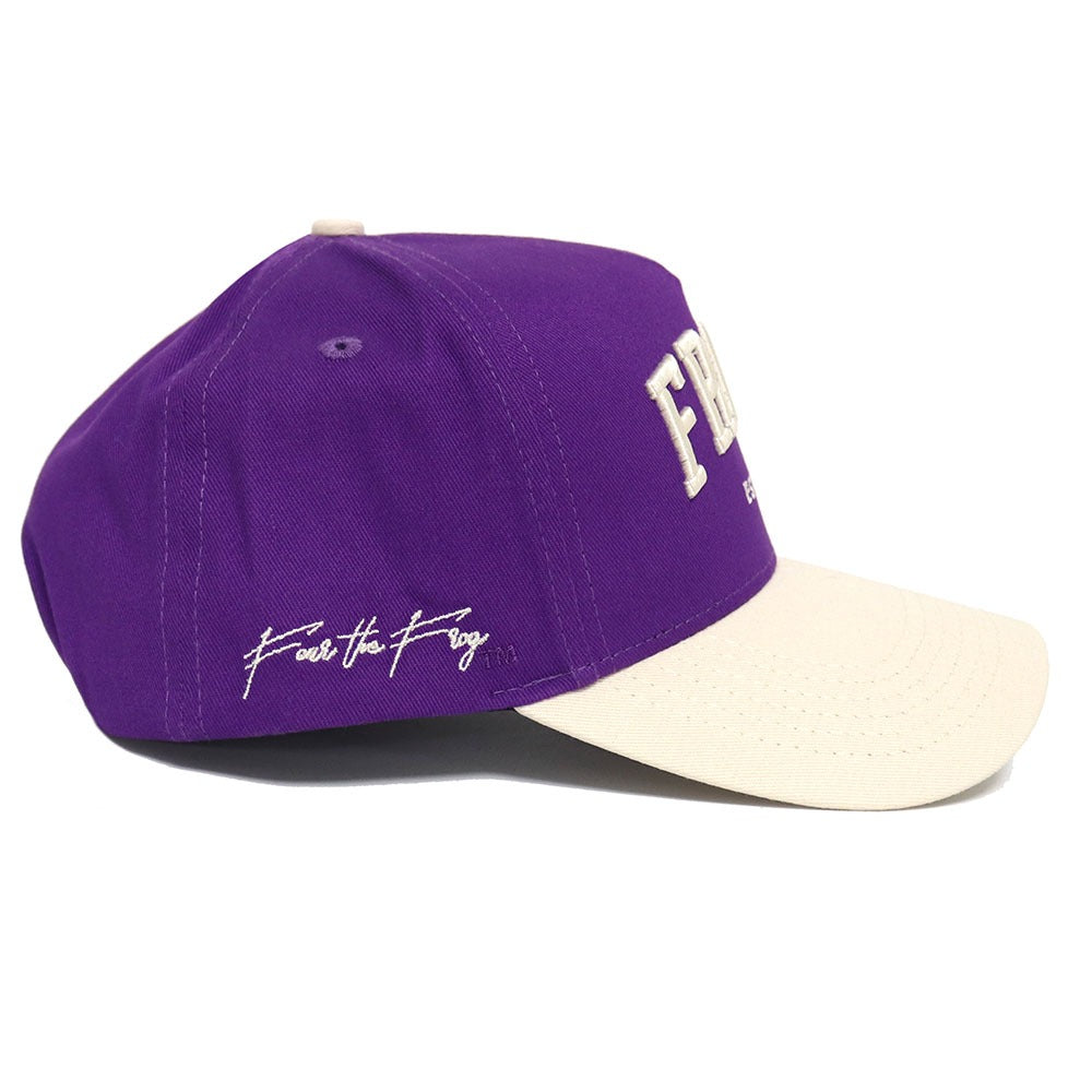 TCU FROGS Established Hat - No Rivals