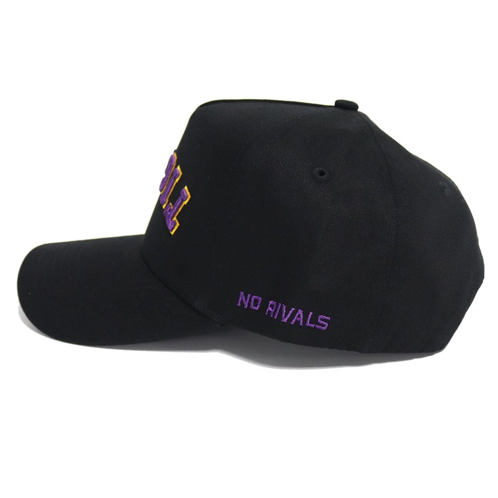 Upside Down TIGERS Hat - LSU - Blackout - No Rivals