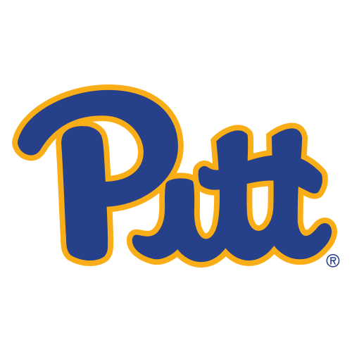 The word Pitt is written in bold blue script with a gold outline on a light gray background.