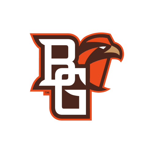 The logo features the letters BG in white with brown and orange outlines, combined with the head of a stylized orange and brown falcon.