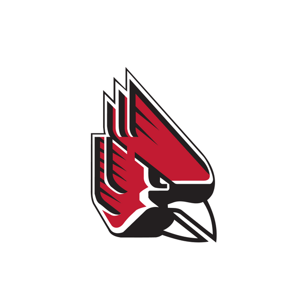 Stylized red cardinal bird head logo facing right, with black and white accents, bold lines, and an intense expression on a light gray background.