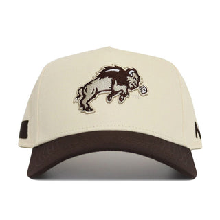 NDSU Espresso Hat