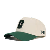 Classic UNC Charlotte Hat