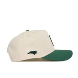 Classic UNC Charlotte Hat