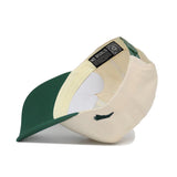 Classic UNC Charlotte Hat