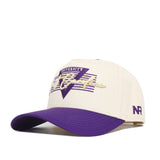 ECU (East Carolina) Triangle Game Cap Hat