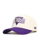 JMU Triangle Game Cap Hat
