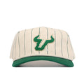 USF Pinstripe Hat