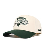 Baylor Triangle Game Cap Hat