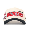 Wisconsin Alma Mater Hat