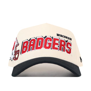Wisconsin Alma Mater Hat