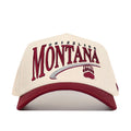 Montana Grizzlies Stride Hat