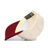 Iowa State Triangle Game Cap Hat