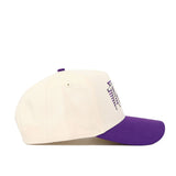 TCU Triangle Game Cap Hat