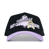 The No Rivals ECU Dugout Collection Hat - Powder Purple is a black and lavender baseball cap with College Baseball, East Carolina Pirates, 1907 text, and a pirate skull logo. Made of high-quality cotton with a structured fit and snapback closure.