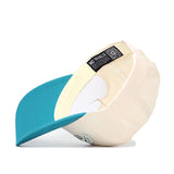 Coastal Carolina Triangle Game Cap Hat