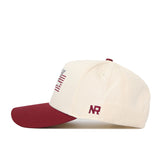 Montana University Triangle Game Cap Hat