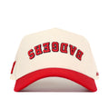 Wisconsin Badgers Upside Down Badgers Hat - Classic