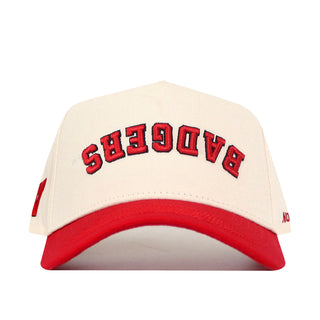 Wisconsin Badgers Upside Down Badgers Hat - Classic