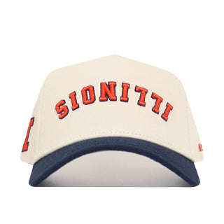 Upside Down Illinois Hat