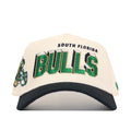 USF Alma Mater Collection