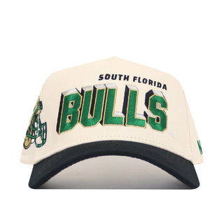 USF Alma Mater Collection