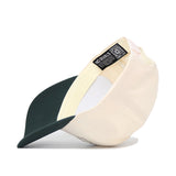 Michigan State Triangle Game Cap Hat