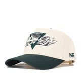 Michigan State Triangle Game Cap Hat