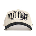 Wake Forest Big Block Hat