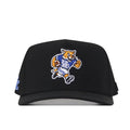 Kentucky Wildcats Football Mascot Hat - Black