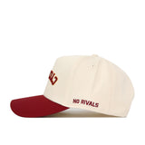 Upside Down CYCLONES Hat - Classic Colors
