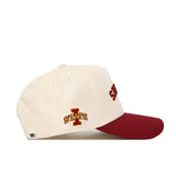 Upside Down CYCLONES Hat - Classic Colors