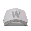 Washington Huskies Graphite Hat