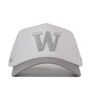 Washington Huskies Graphite Hat