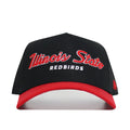 Illinois State Retro Script Hat - Black Classic