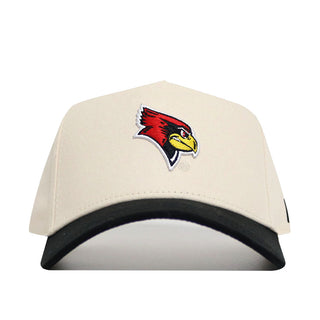 Illinois State Patch Hat