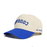 Upside Down BYU COUGARS Hat