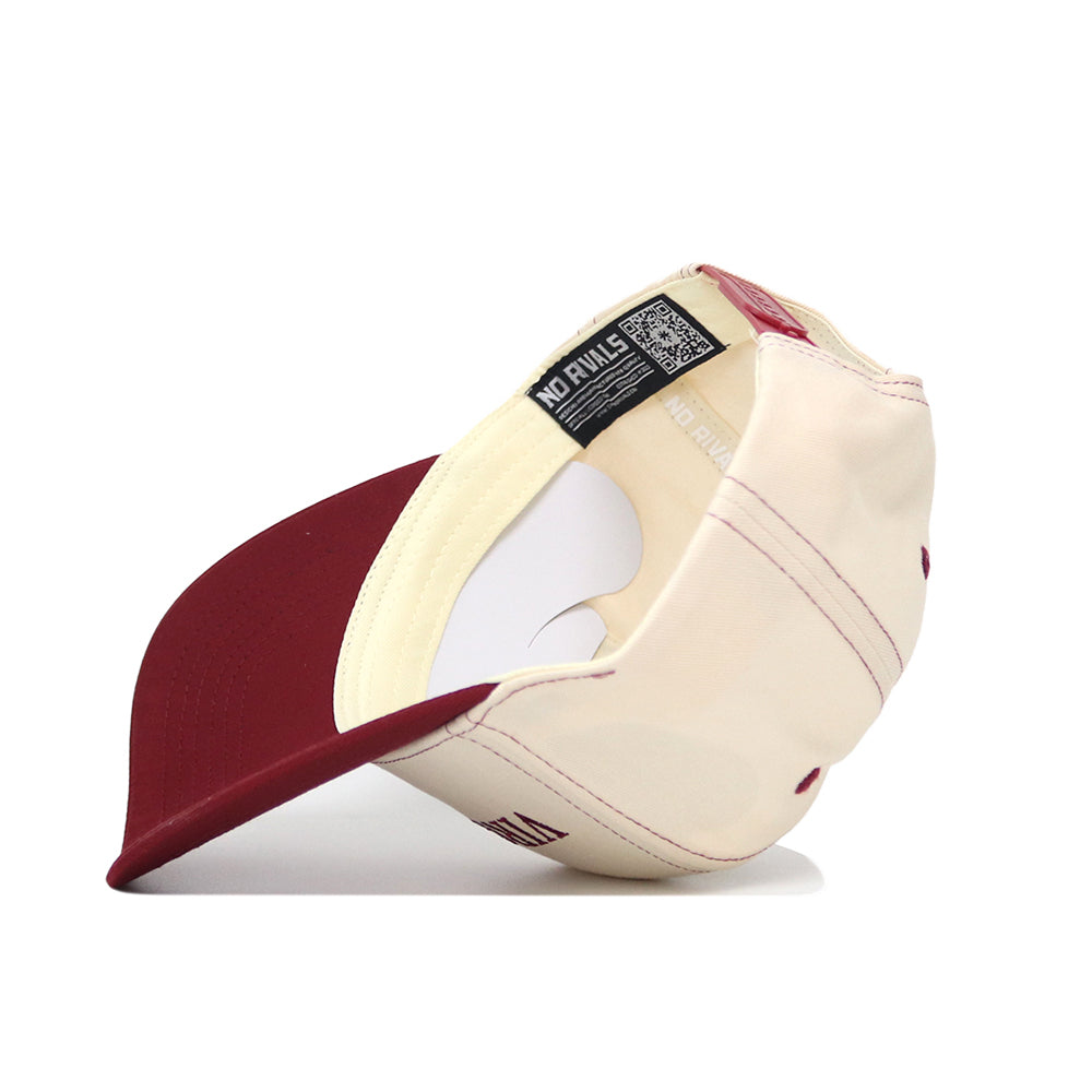 Virginia Tech Vintage Hat - No Rivals