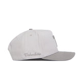Side view of the Tennessee Graphite Hat by No Rivals in light gray with a darker flat brim. “Volunteers” is embroidered in cursive near the back, along with classic embroidered graphics.