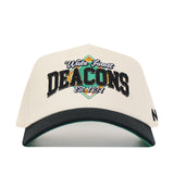 Wake Forest Ballpark Hat