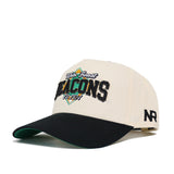 Wake Forest Ballpark Hat