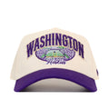 Washington Stadium Hat