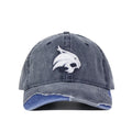 Texas State Denim Hat