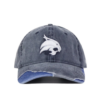 Texas State Denim Hat